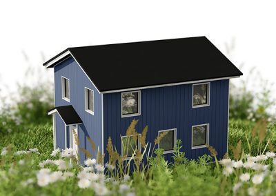 grass_house